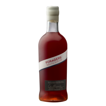 Foragers Soulful Sloe Gin - 30% 70cl