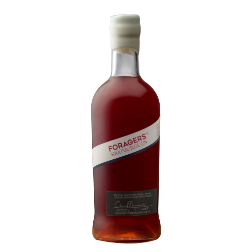 Foragers Soulful Sloe Gin - 30% 70cl